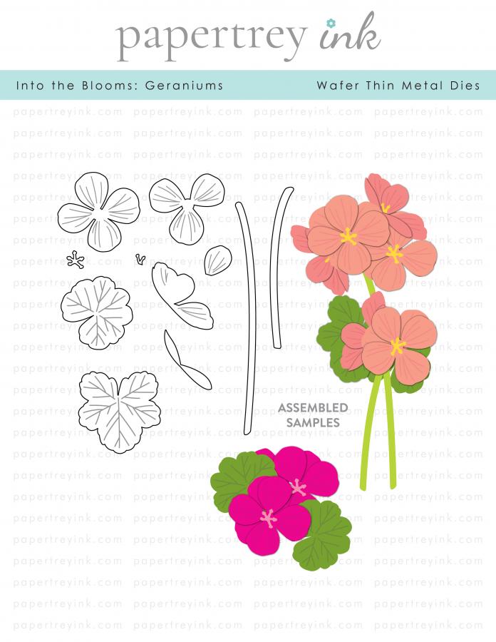 Into the Blooms: Geraniums Die