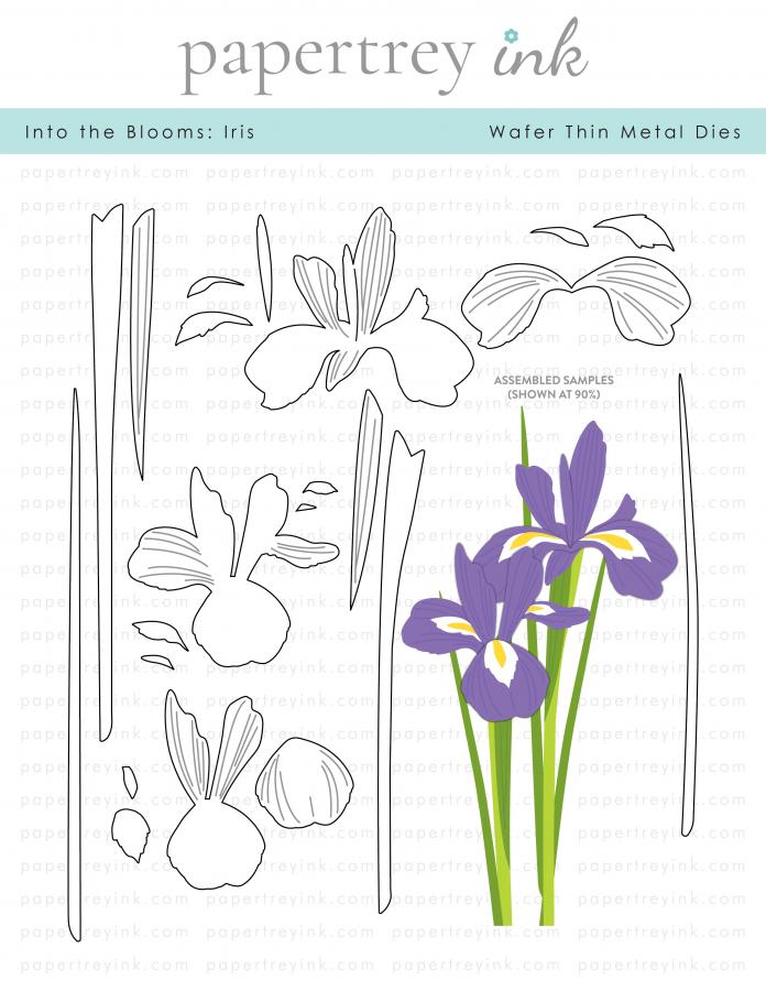 Into the Blooms: Iris Die