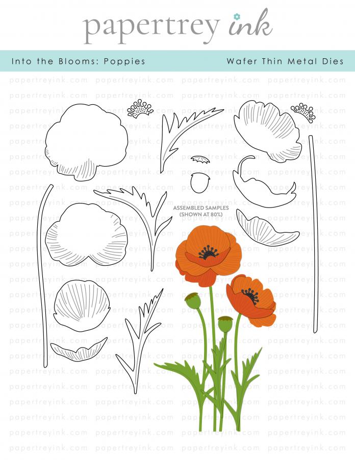 Into the Blooms: Poppies Die