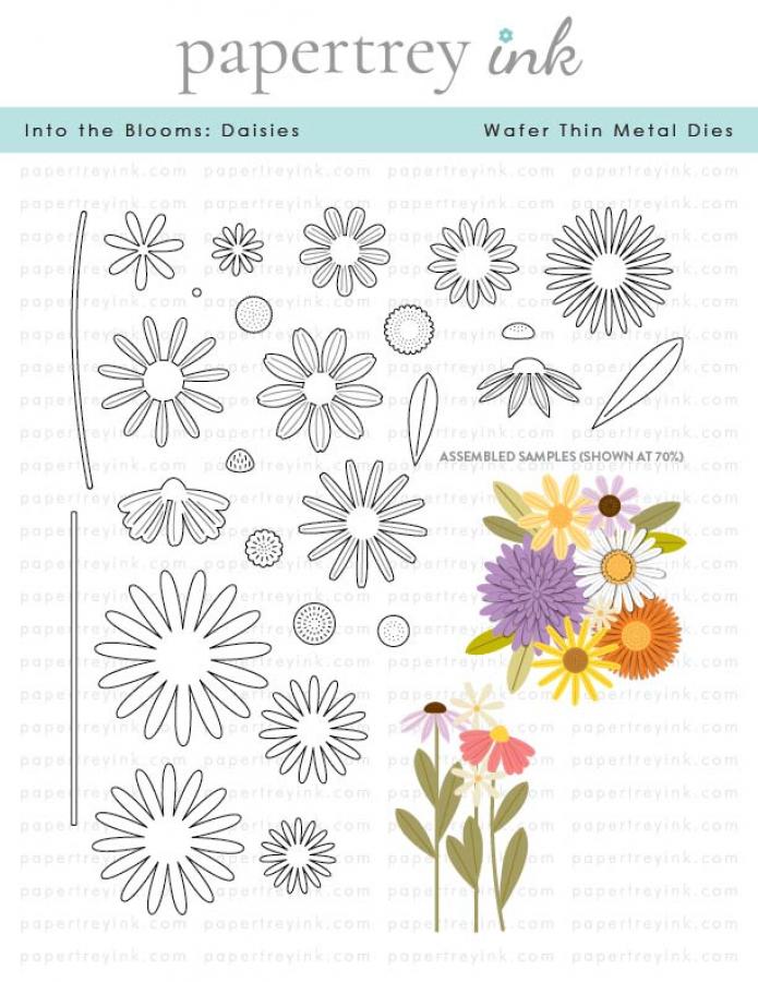 Into the Blooms: Daisies Die
