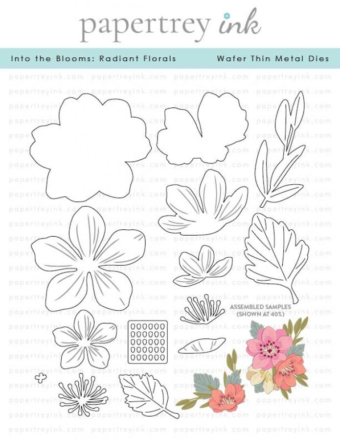 Into the Blooms: Radiant Florals Die