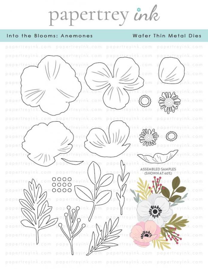 Into the Blooms: Anemones Die