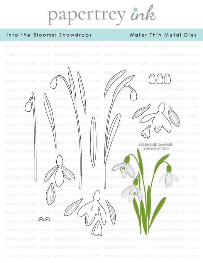 Into the Blooms: Snowdrops Die