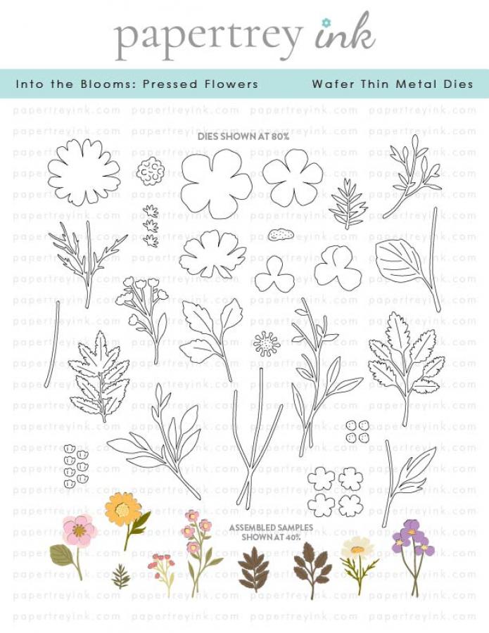 Into the Blooms: Pressed Flowers Die