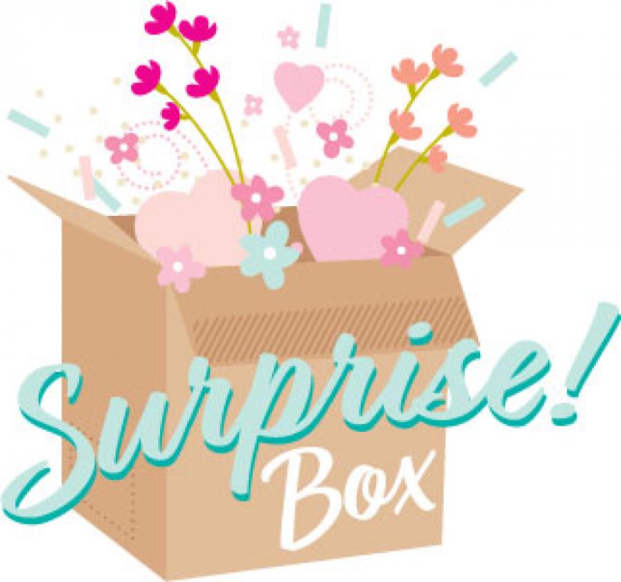June 2023 Surprise Box