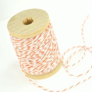 Baker's Twine - Orange Zest