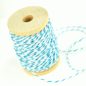 Baker's Twine - Turquoise
