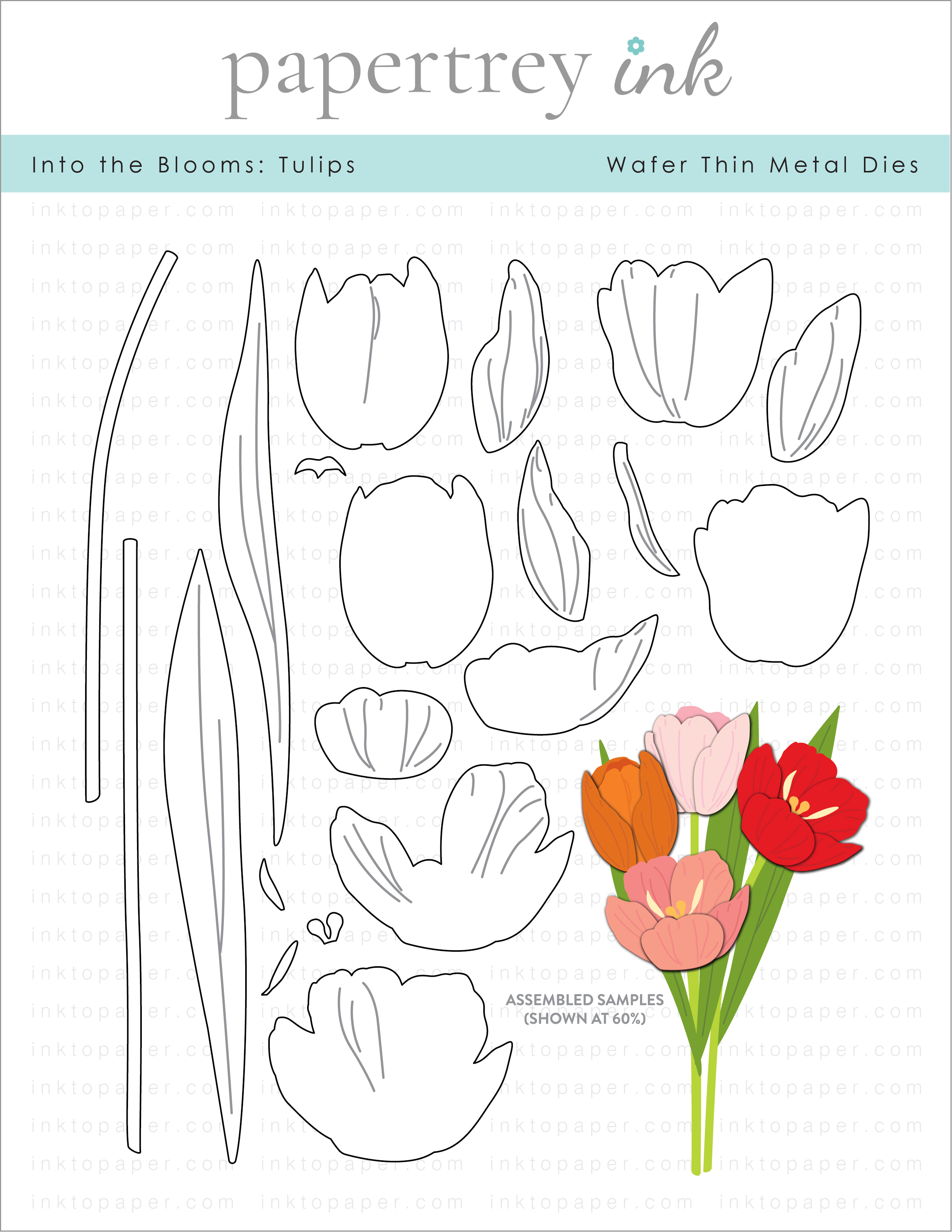 Into the Blooms Tulips Die Papertrey Ink