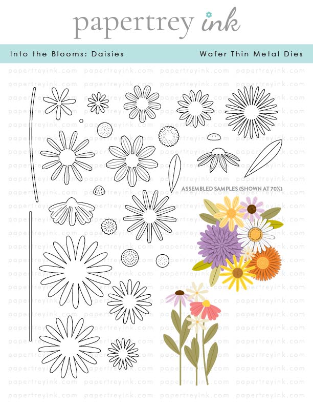 Into the Blooms: Daisies Die