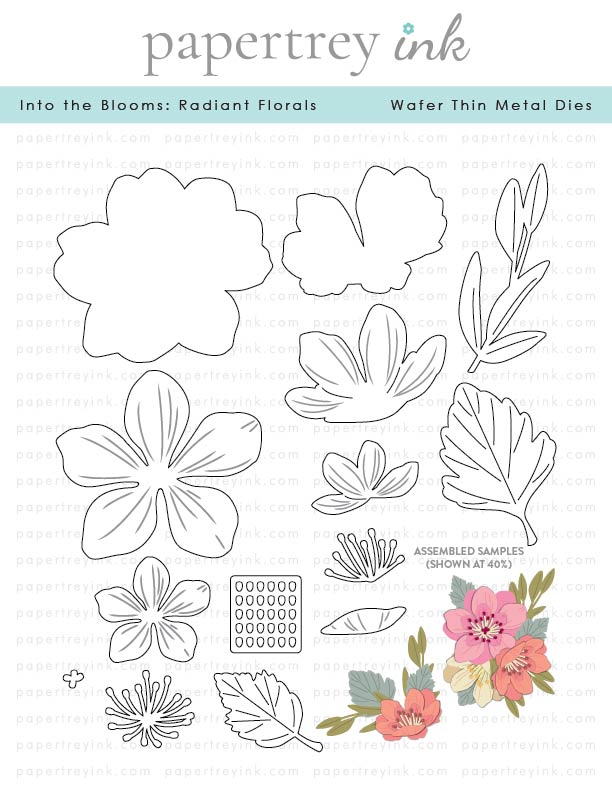 Into the Blooms: Radiant Florals Die