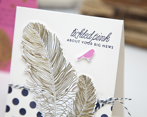 Feather Finery Stamp Set