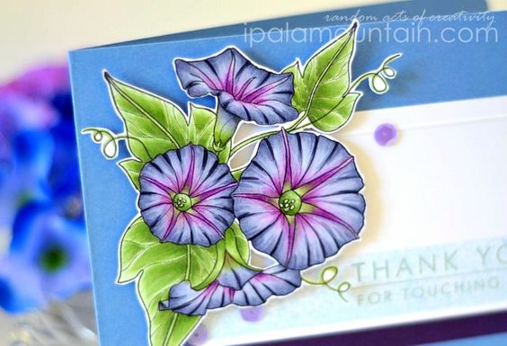 Papertrey Ink Year Of Flowers Morning Glories Die - 