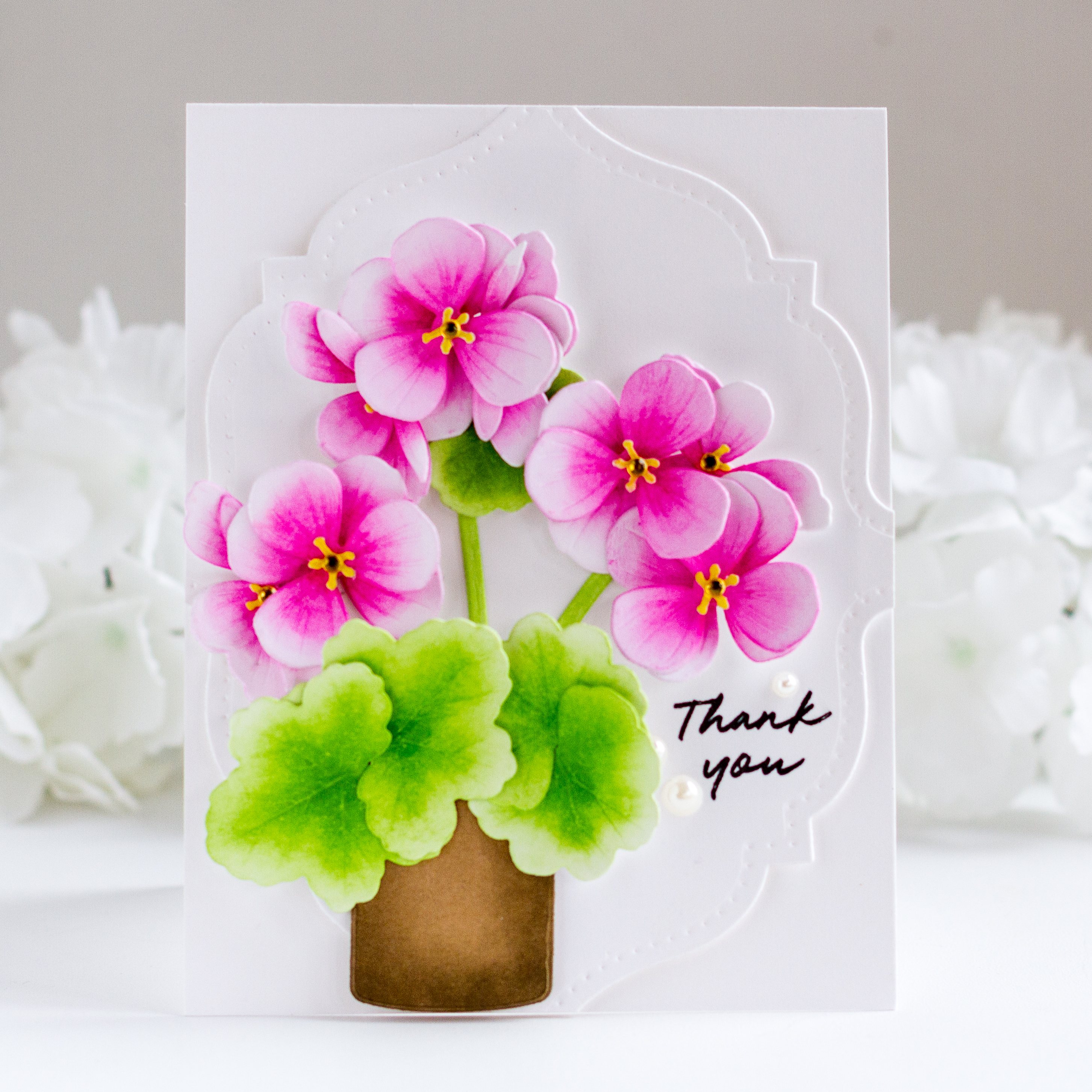 Cornered: Fresh Cuts Die