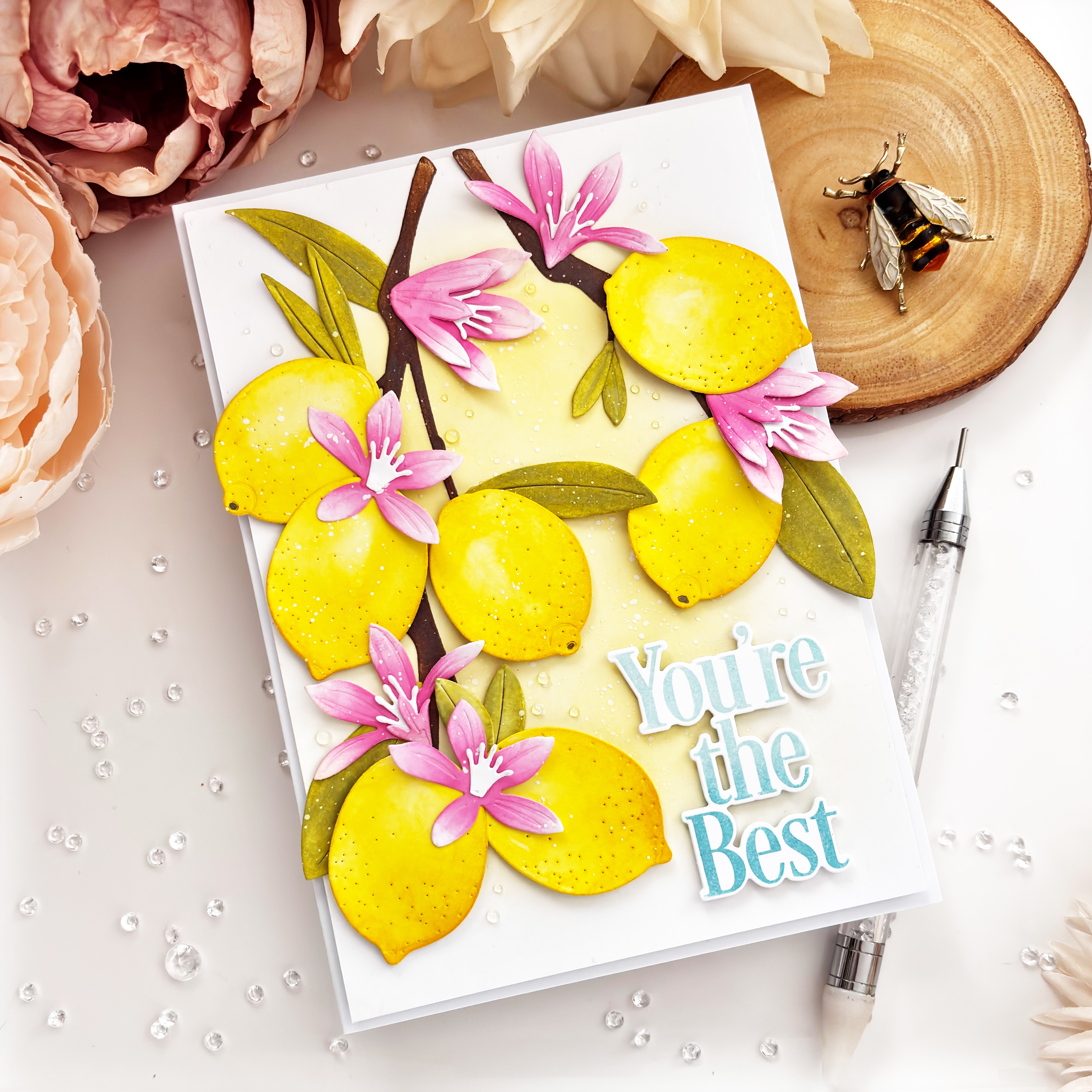 This is Big Sentiments: You're the Best Die