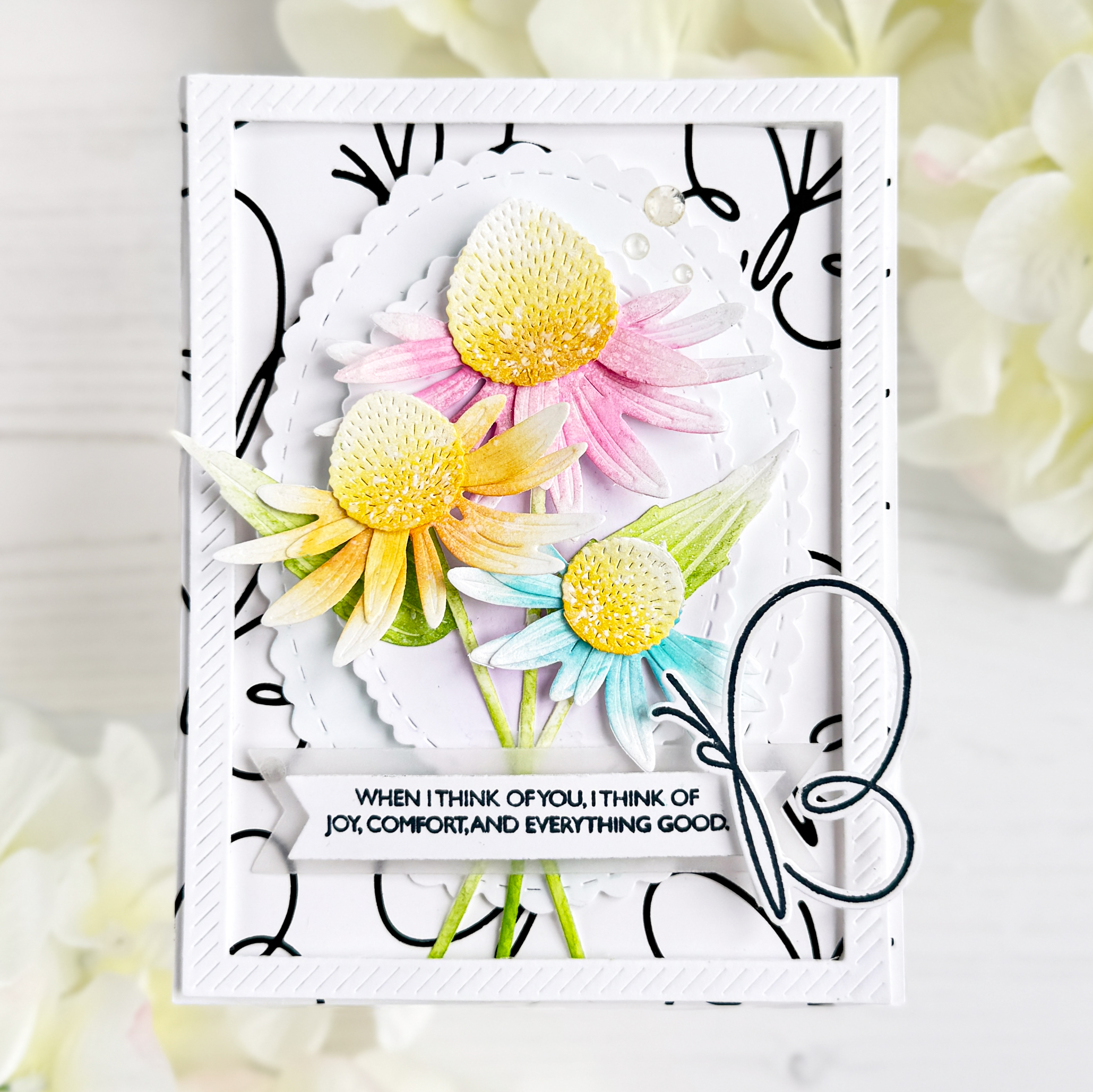 Into the Blooms: Coneflowers Die