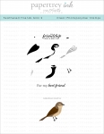 Feathered Friends Mini 2 Mini Stamp Set