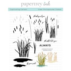 Captivating Cattails Stamp Set