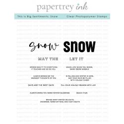 This is Big Sentiments: Snow Stamp Set
