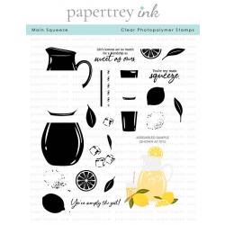 Main Squeeze Stamp Set