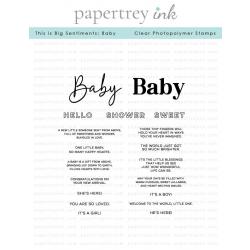This is Big Sentiments: Baby Stamp Set