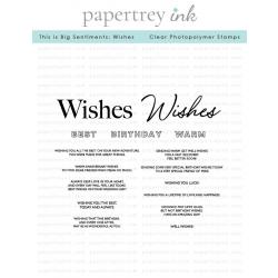 This is Big Sentiments: Wishes Stamp Set