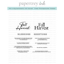 This is Big Sentiments: Fall Harvest Stamp Set