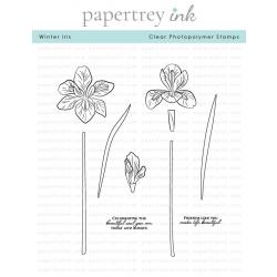 Winter Iris Stamp Set