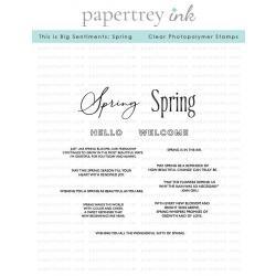 This is Big Sentiments: Spring Stamp Set