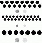 Polka Dot Basics III Stamp Set