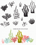 Salt Air: Flora Stamp Set