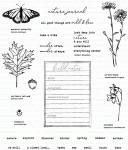 Traveler's Journal: Field Notes Stamp Set