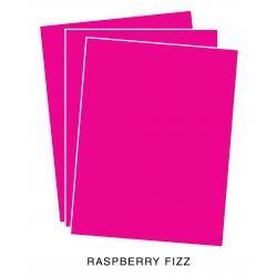 PTI/I2P Raspberry Fizz Cardstock