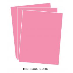 PTI Hibiscus Burst Cardstock