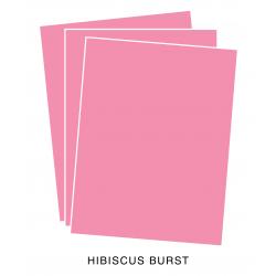 Perfect Match Hibiscus Burst Cardstock (12 sheets)