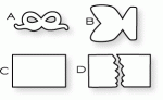 Papertrey Ink - Party Poppers Die Collection (set of 4)