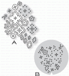 Papertrey Ink - Sewing Staples: Floral Cluster Die Collection (set of 2)
