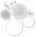 Papertrey Ink - Fruit Salad: Citrus Die