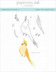 Feathered Friends 9 Die
