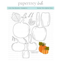 Into the Blooms: Pumpkins Die