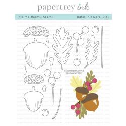 Into the Blooms: Acorns Die