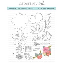 Into the Blooms: Radiant Florals Die