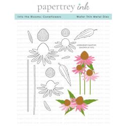 Into the Blooms: Coneflowers Die