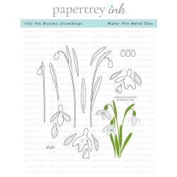 Into the Blooms: Snowdrops Die