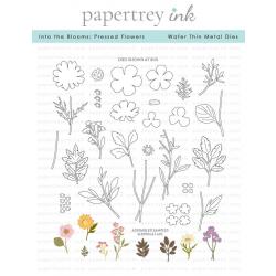 Into the Blooms: Pressed Flowers Die