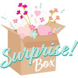 October 2023 Surprise Box