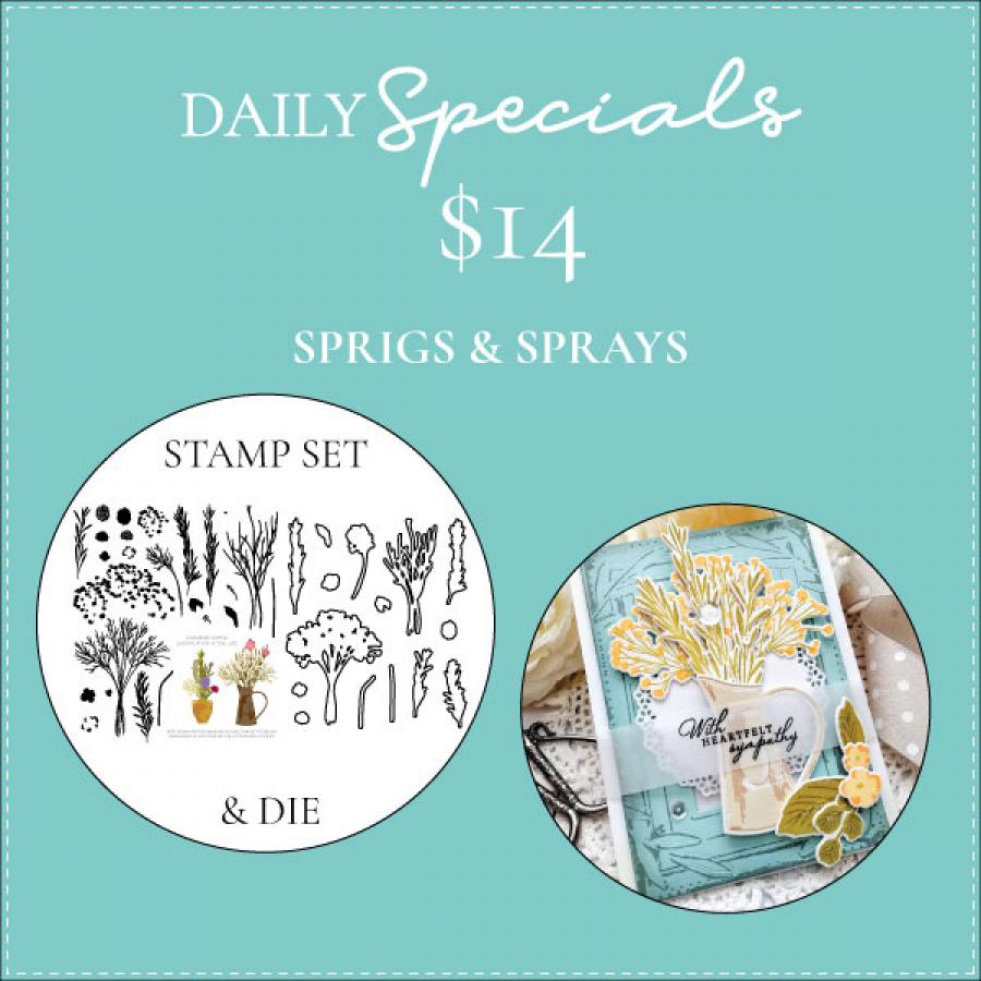 Daily Special - Sprigs & Sprays Stamp Set + Die